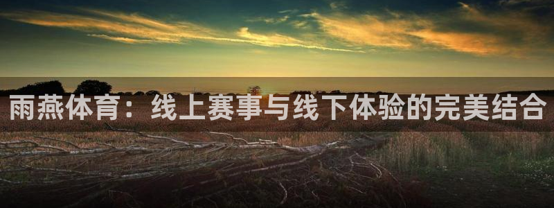 体育直播斗球：雨燕体育：线上赛事与线下体验的完美结合