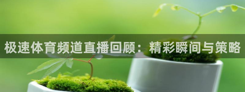 斗球直播在线：极速体育频道直播回顾：精彩瞬间与策略