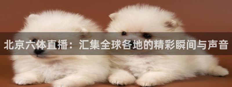 斗球直播app最新版本：北京六体直播：汇集全球各地的精彩瞬间与声音
