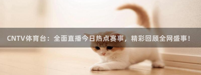 斗球比赛直播免费观看