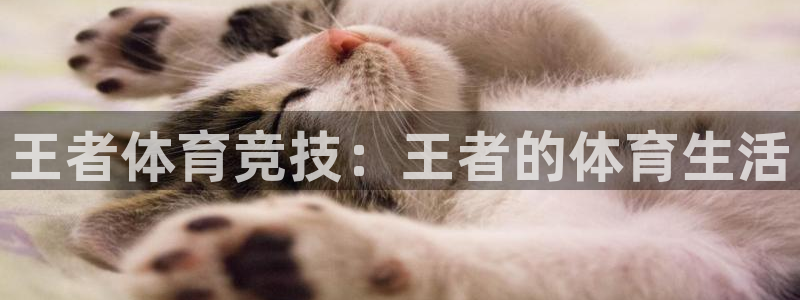 斗球体育怎么没有直播了