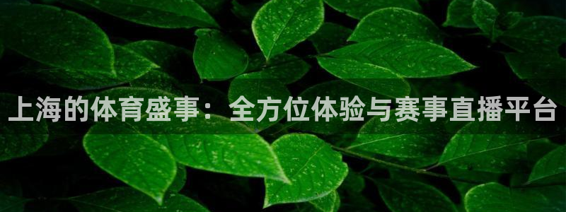 斗球直播app下载电脑版